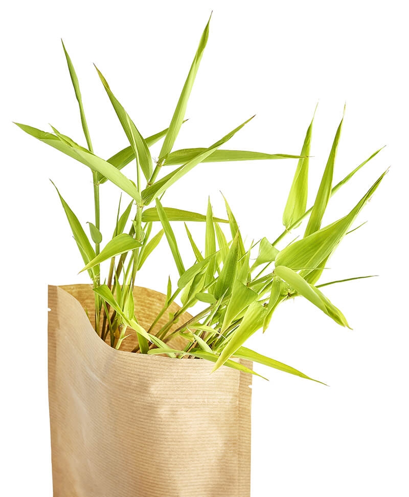 Stand up sales pouches eco friendly