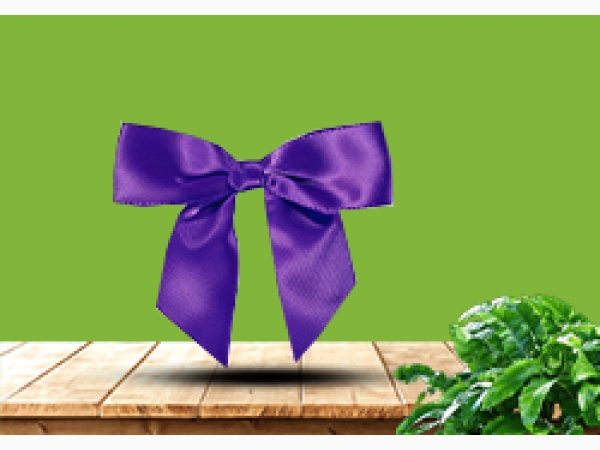 Satin pre-tied bow - Violet