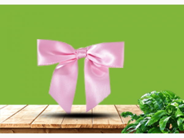 Satin pre-tied bow - Rose