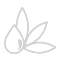 cosmetics cosmetics