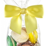 Hard bottom bag - Clear 