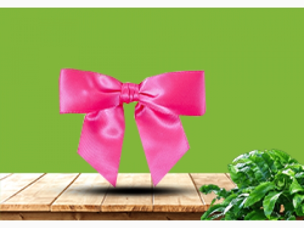 Satin pre-tied bow - Fuchsia