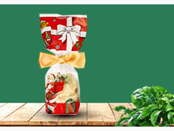Christmas hard bottom bag - Xmas Gift