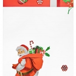 Christmas flat bag - Xmas Gift